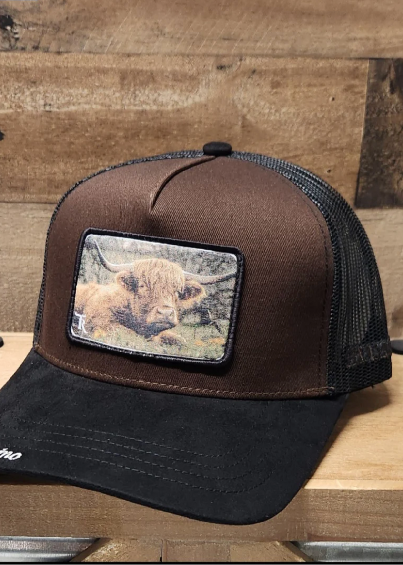 Campesino Long Horn Bull