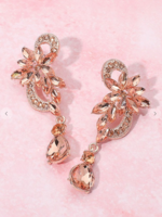 Don't Take Me Off Earrings