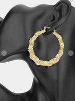 Hoops Always Earrings