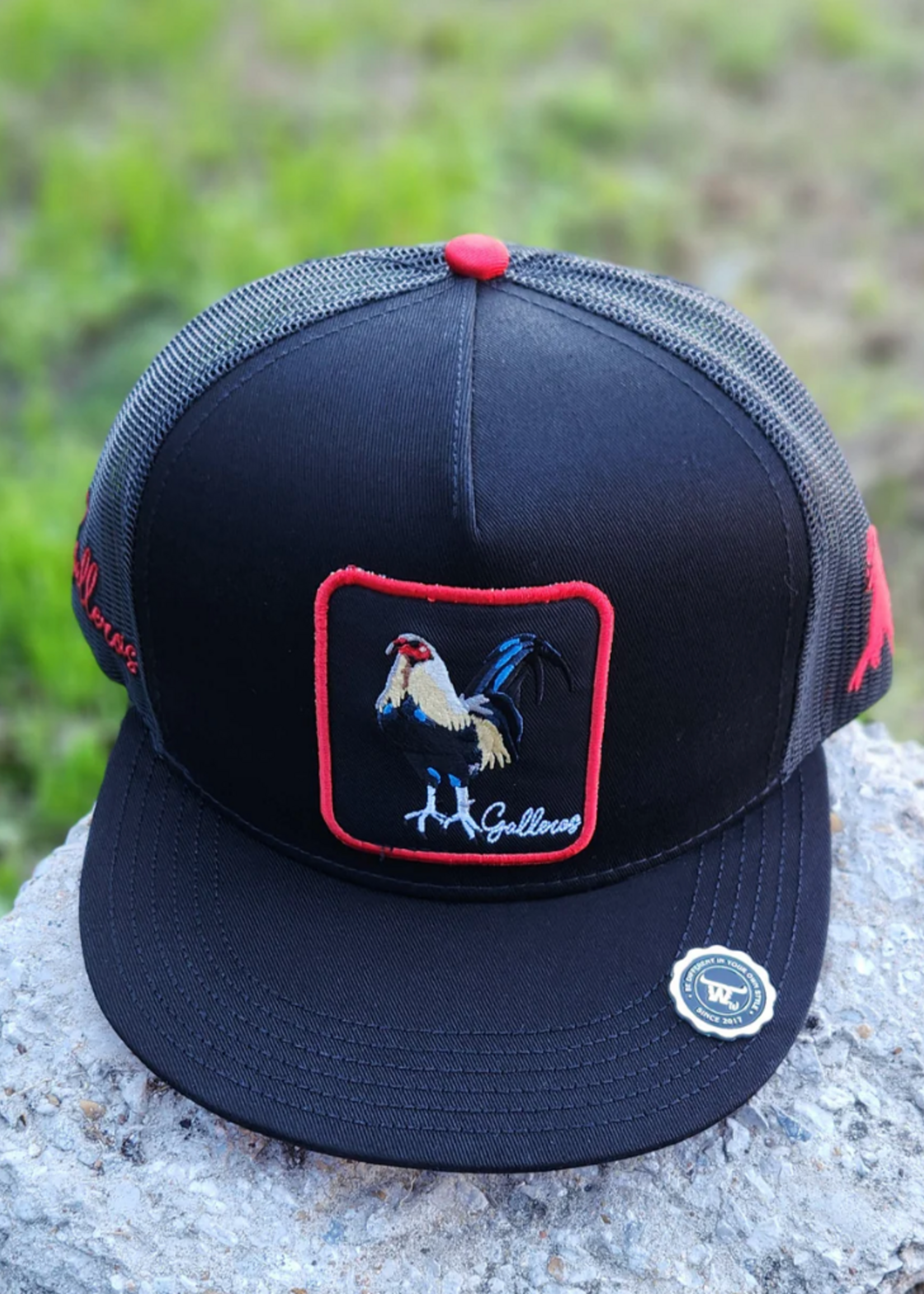 Aguerrido              KIDS/NINOS