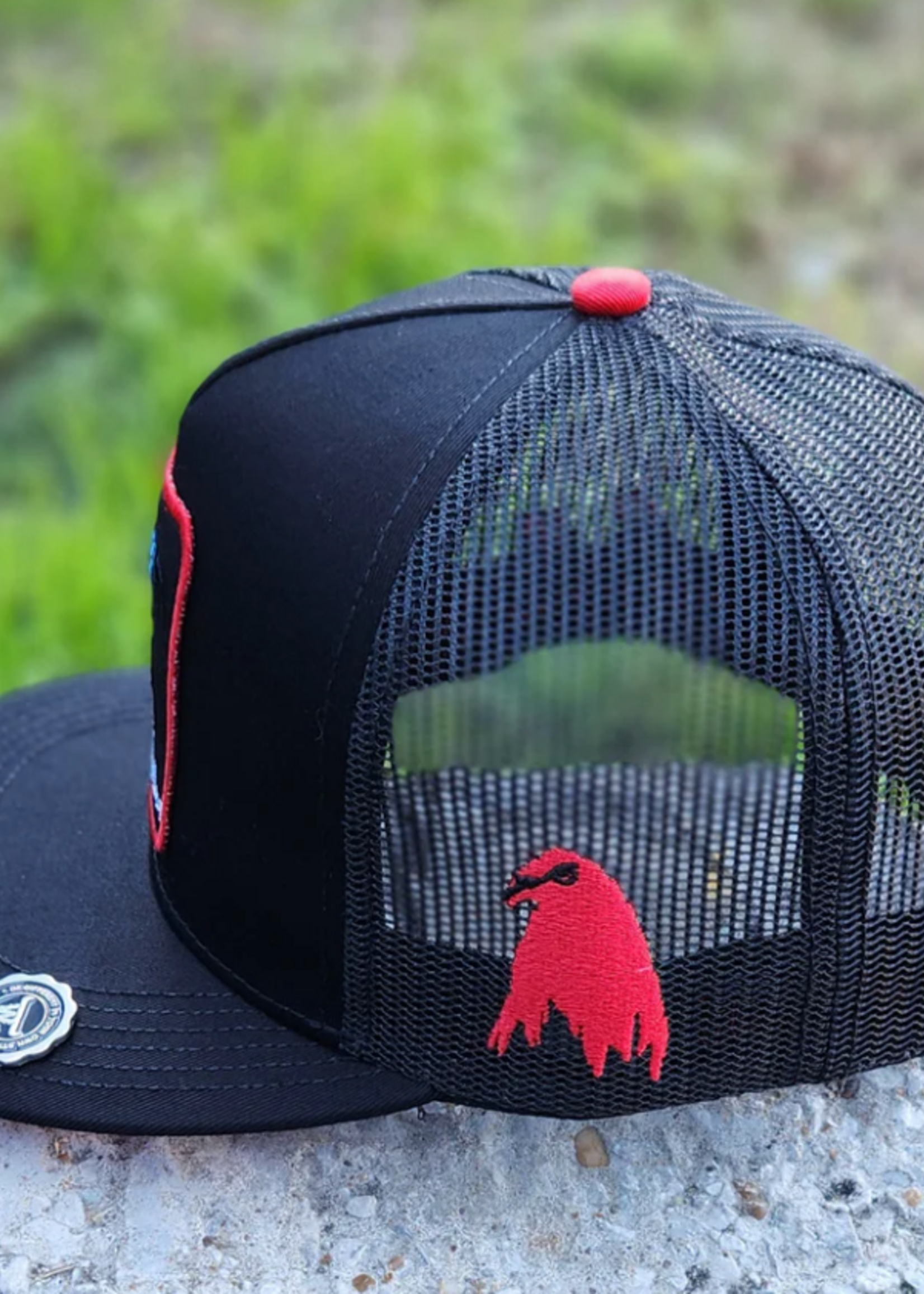 Aguerrido              KIDS/NINOS