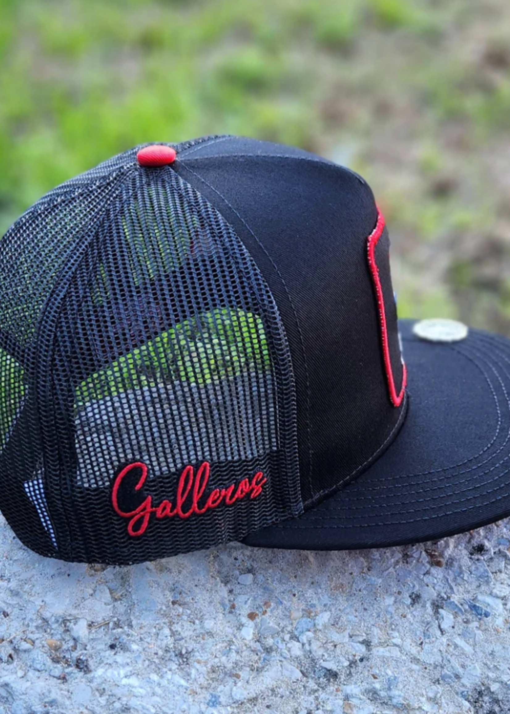 Aguerrido              KIDS/NINOS