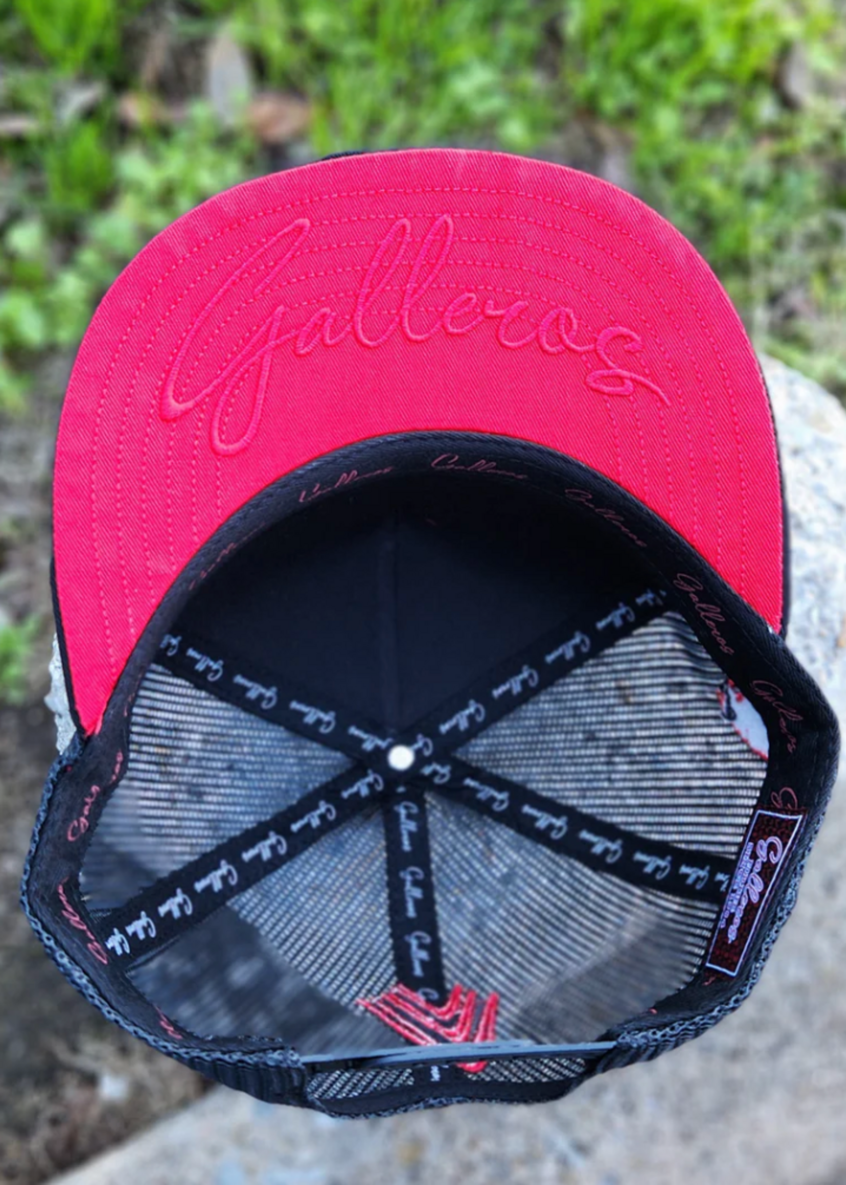 Aguerrido              KIDS/NINOS