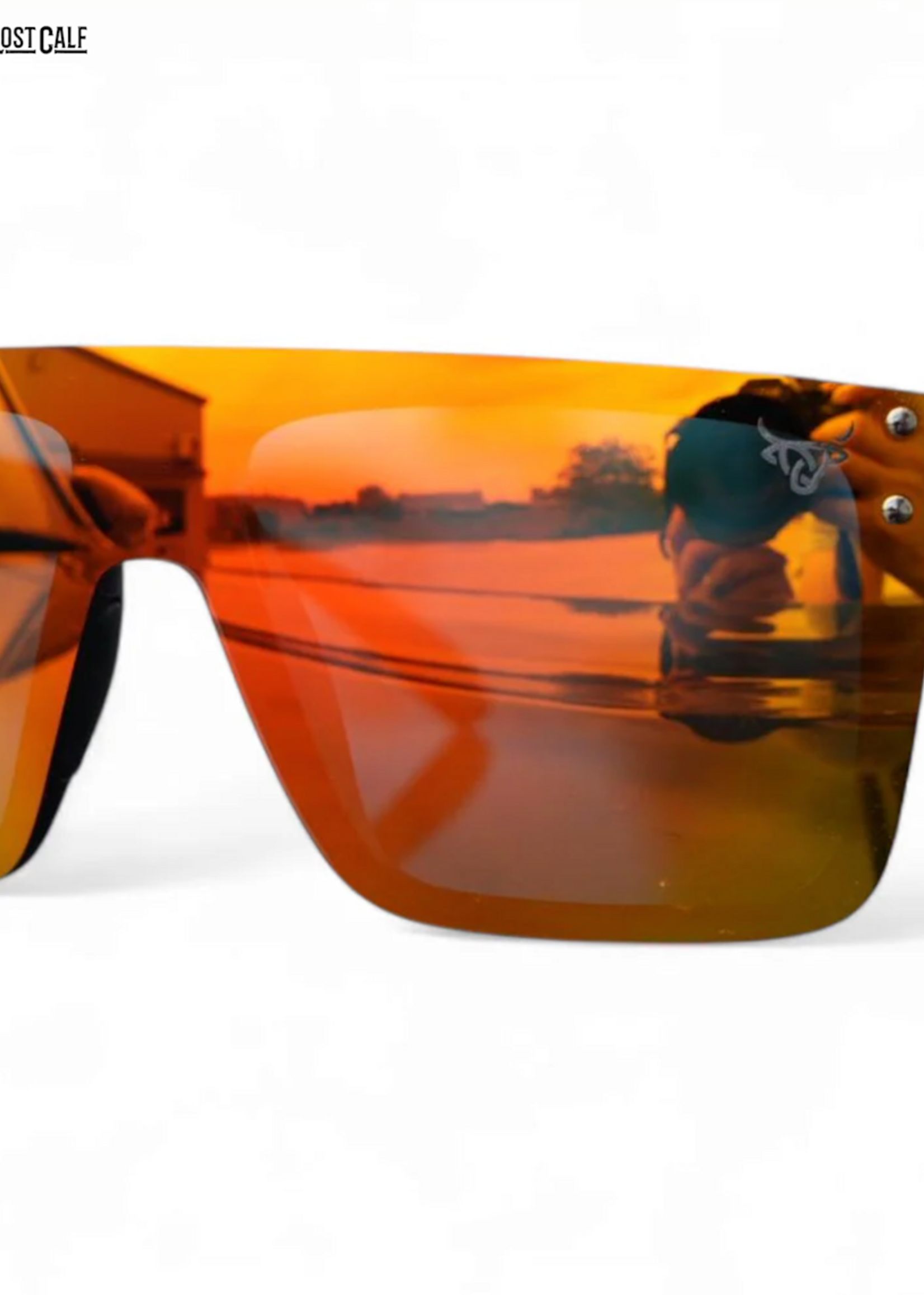 Solar Glasses. ( LOST CALF )