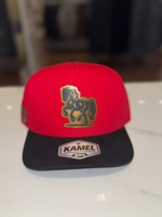 Caballo Dorado Hat