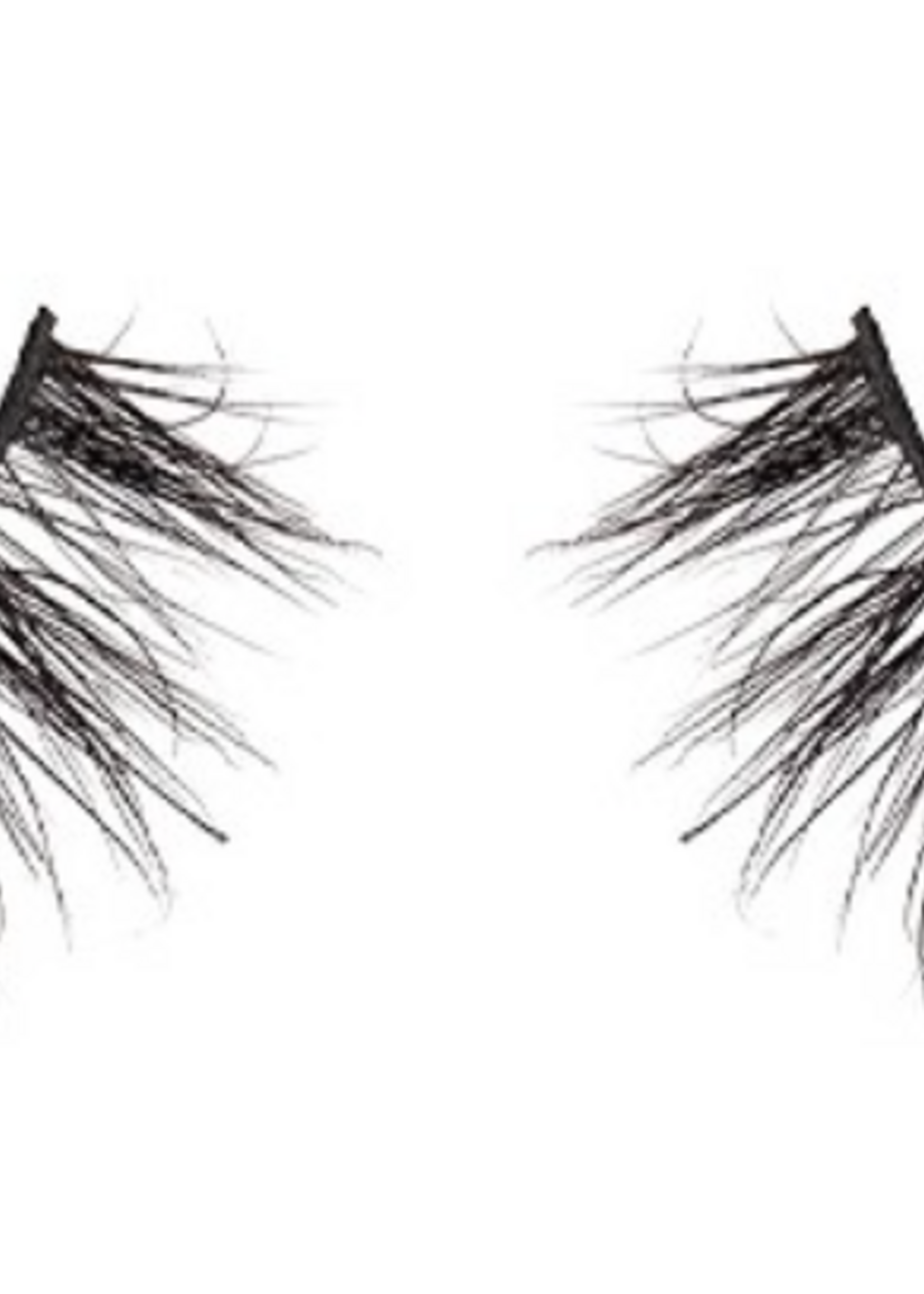 Insta Famous Eyelashes