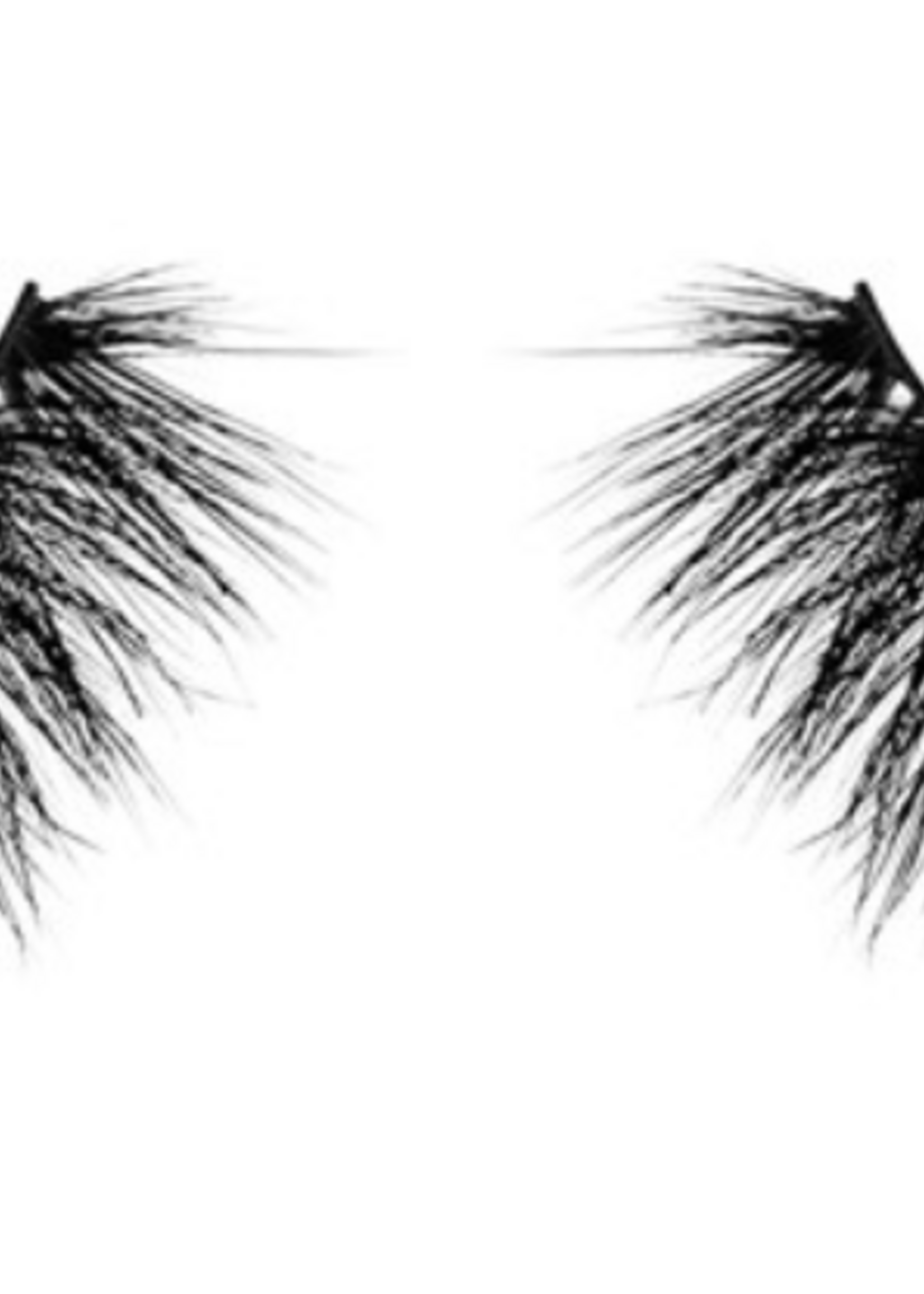 My Go To Eyelashes