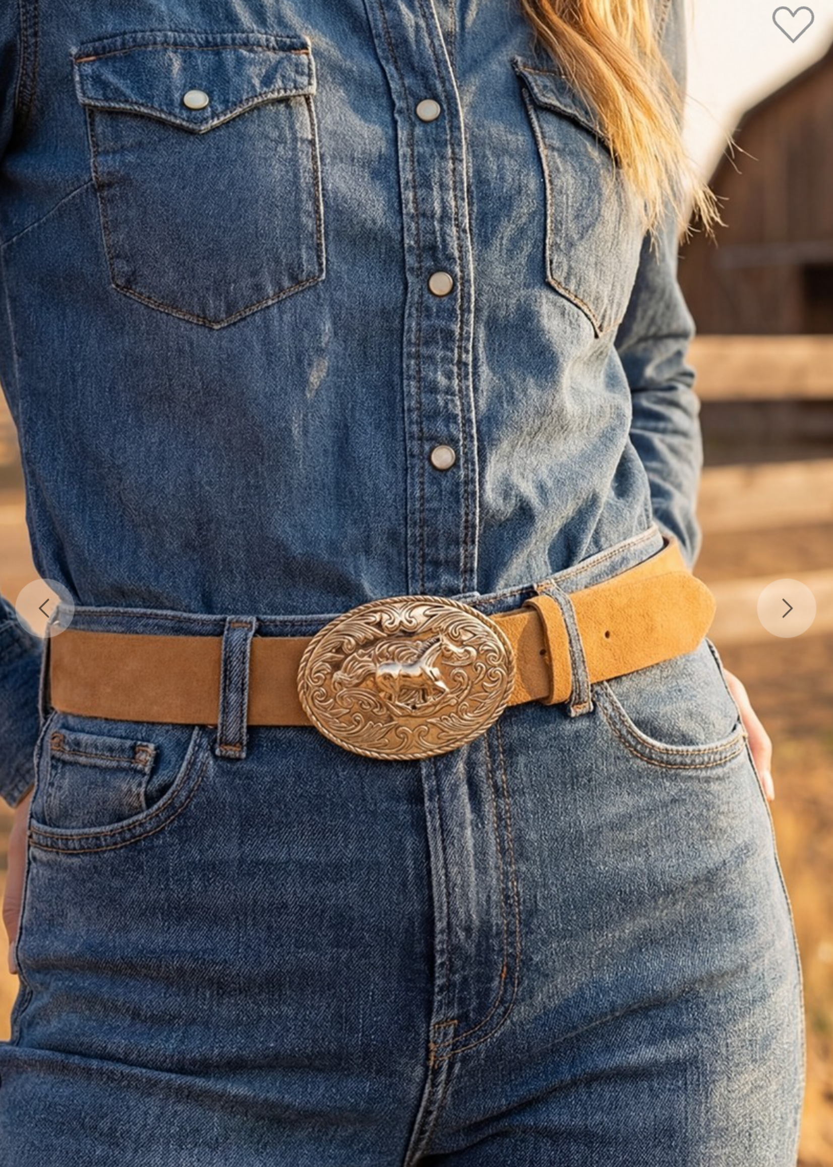 Horsing Around Belt