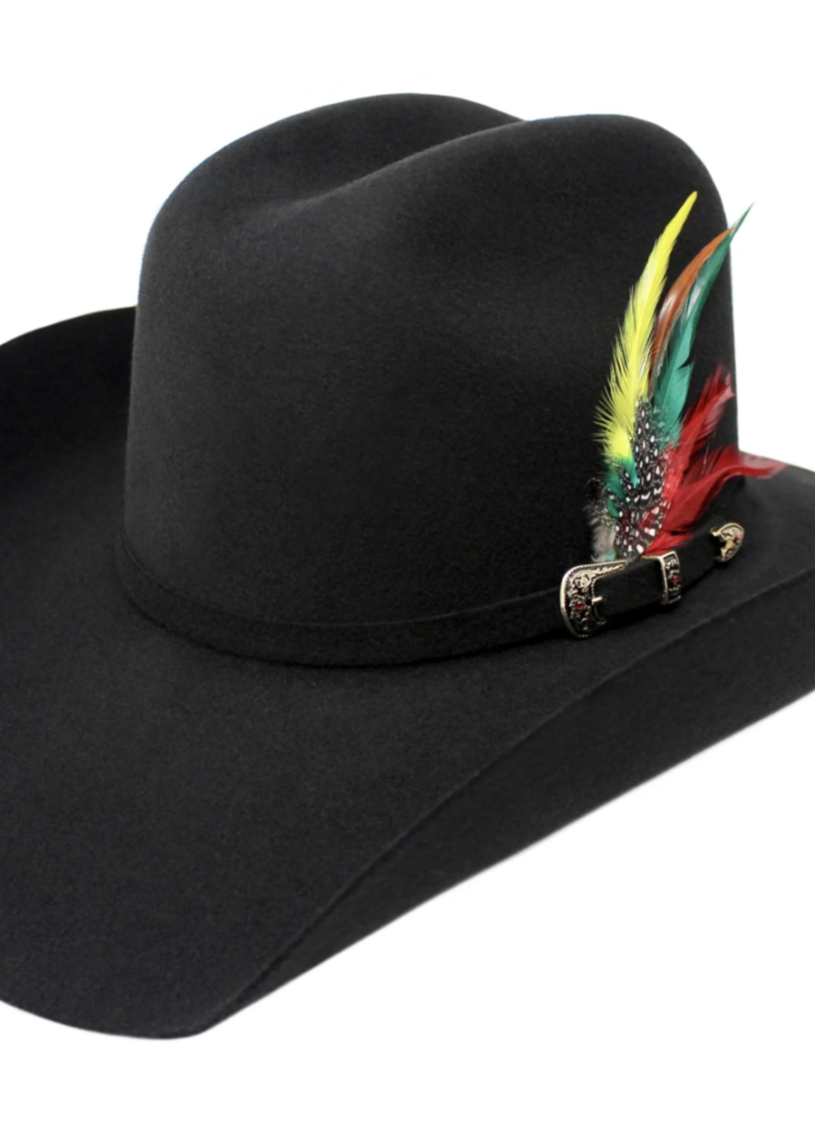 Moksman Chihuahua 100x Tejana