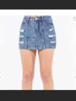 Day Time Adventures Denim Skirt