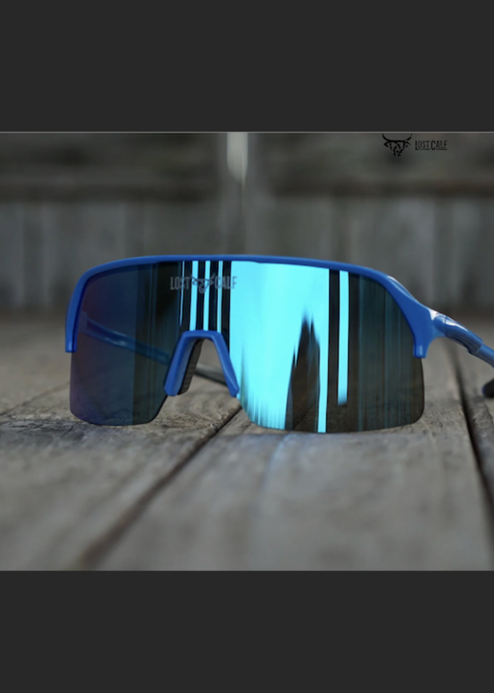 Viper Glasses   ( LOST CALF )