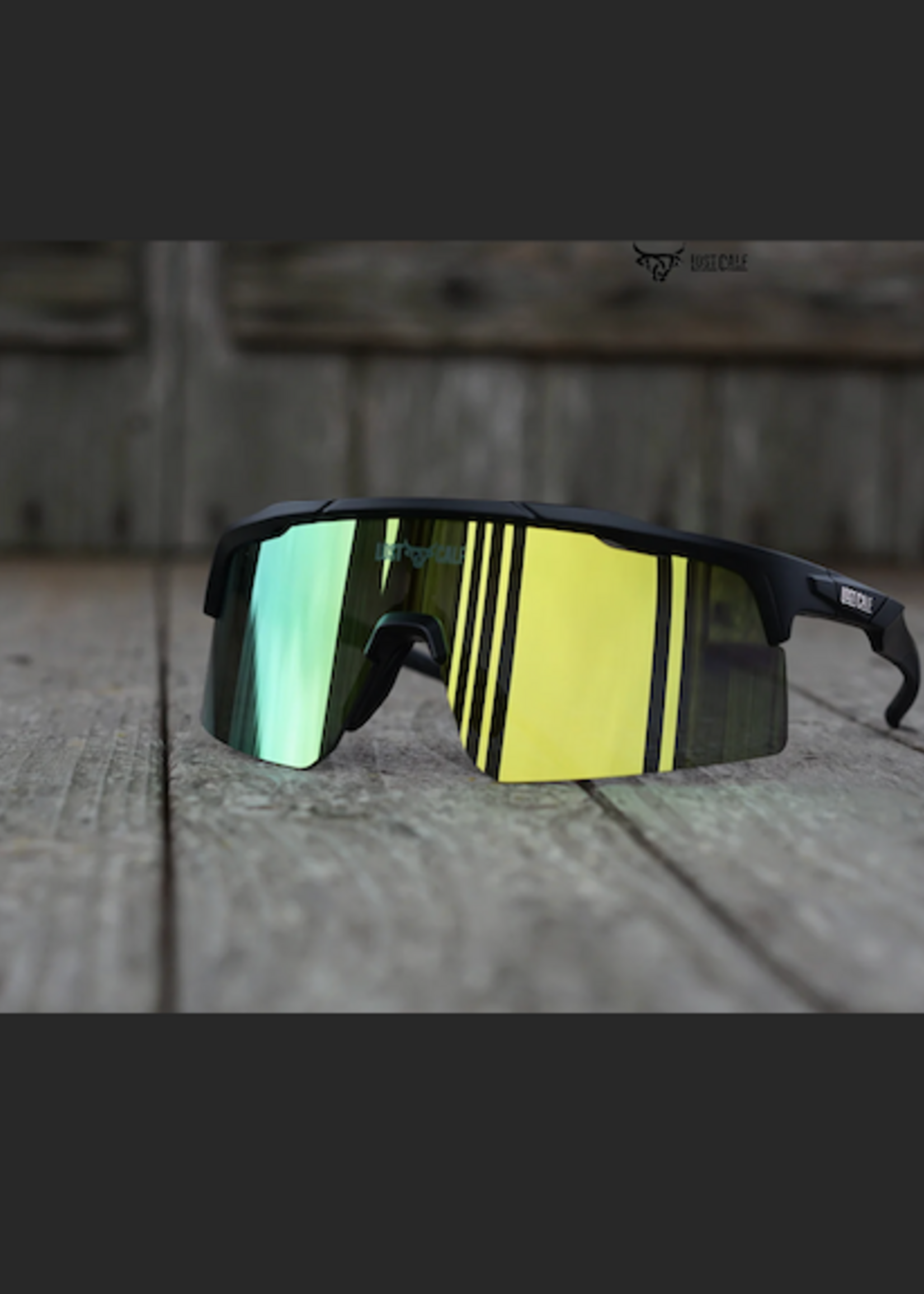 Fenix Sunglasses