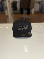 El Senor De Los Gallos