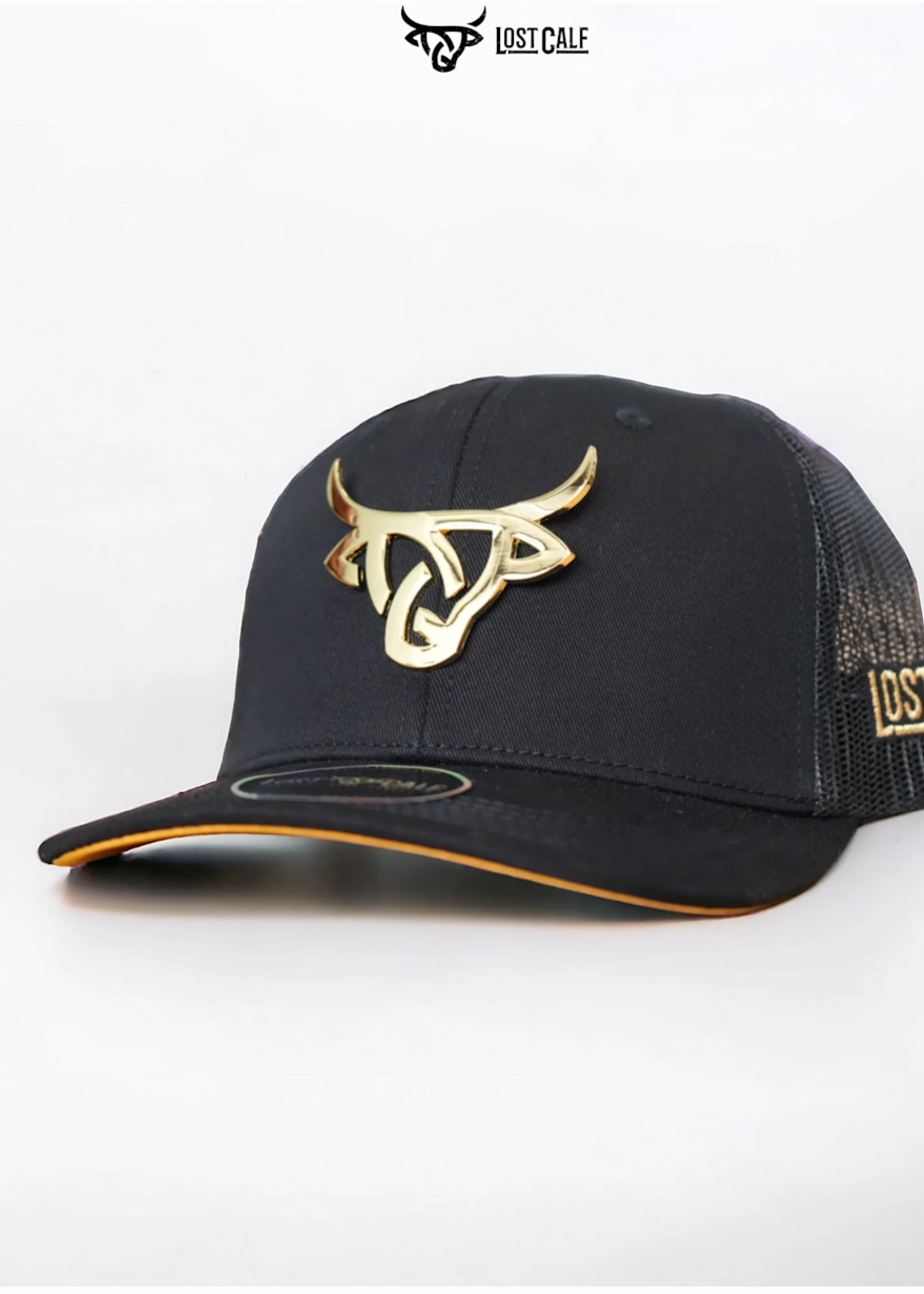 Iron Gold Curve
