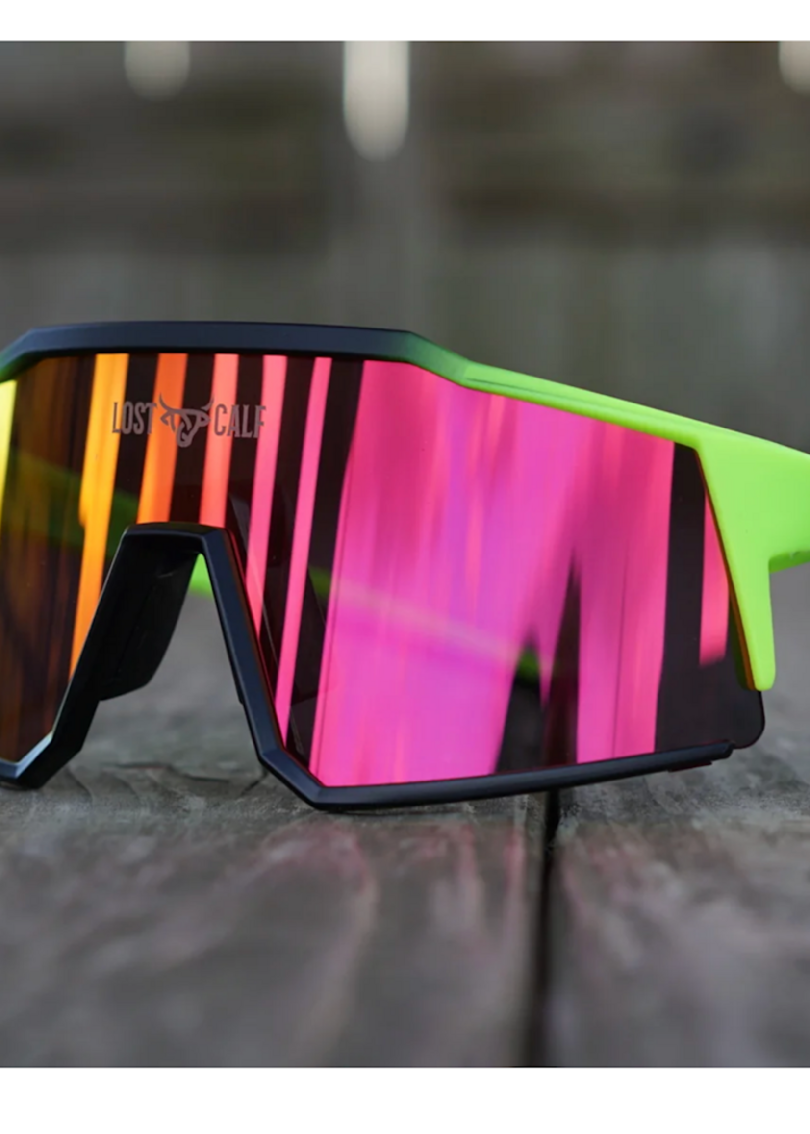 Raptor Glasses  ( LOST CALF )
