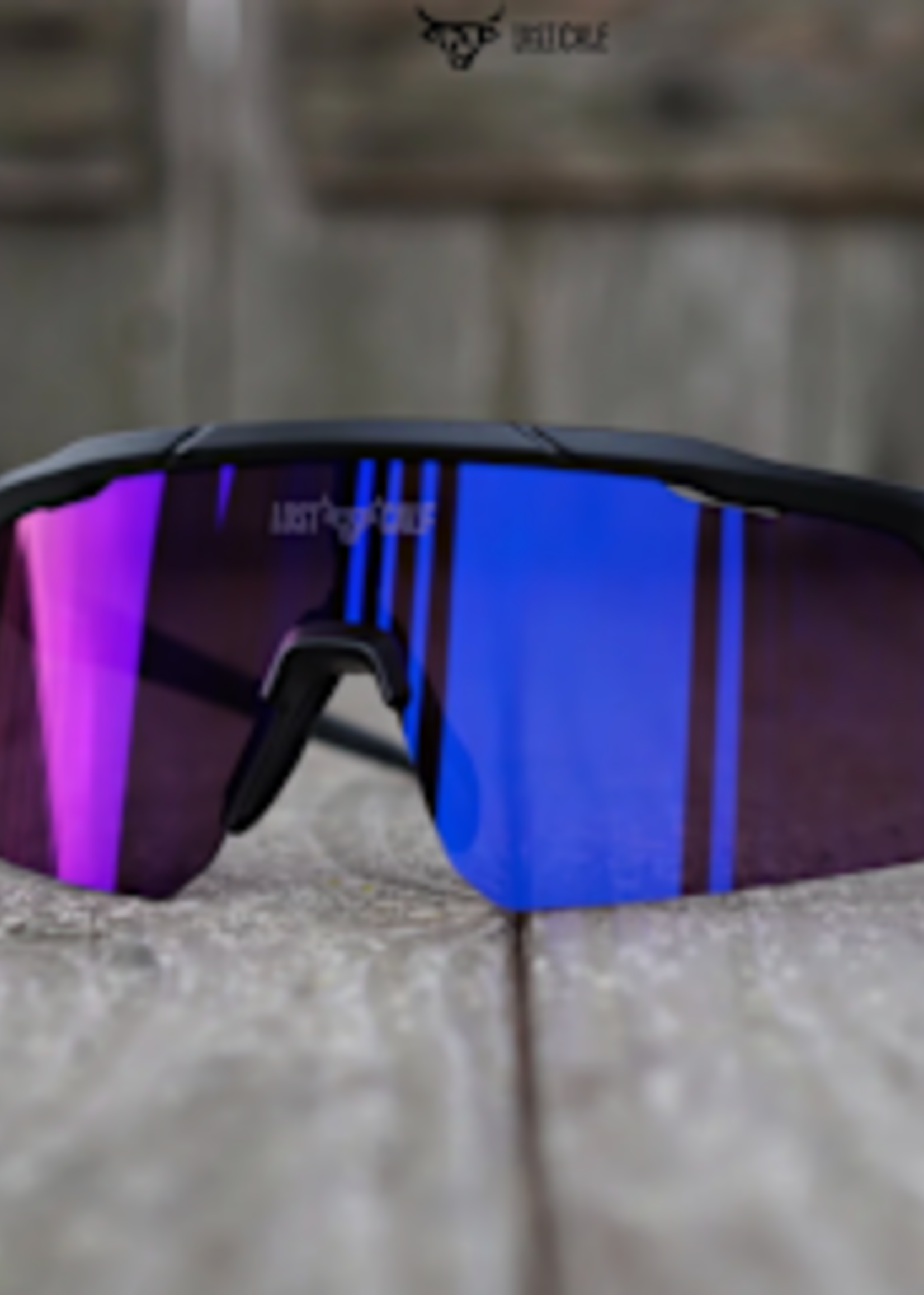Fenix Sunglasses ( LOST CALF )