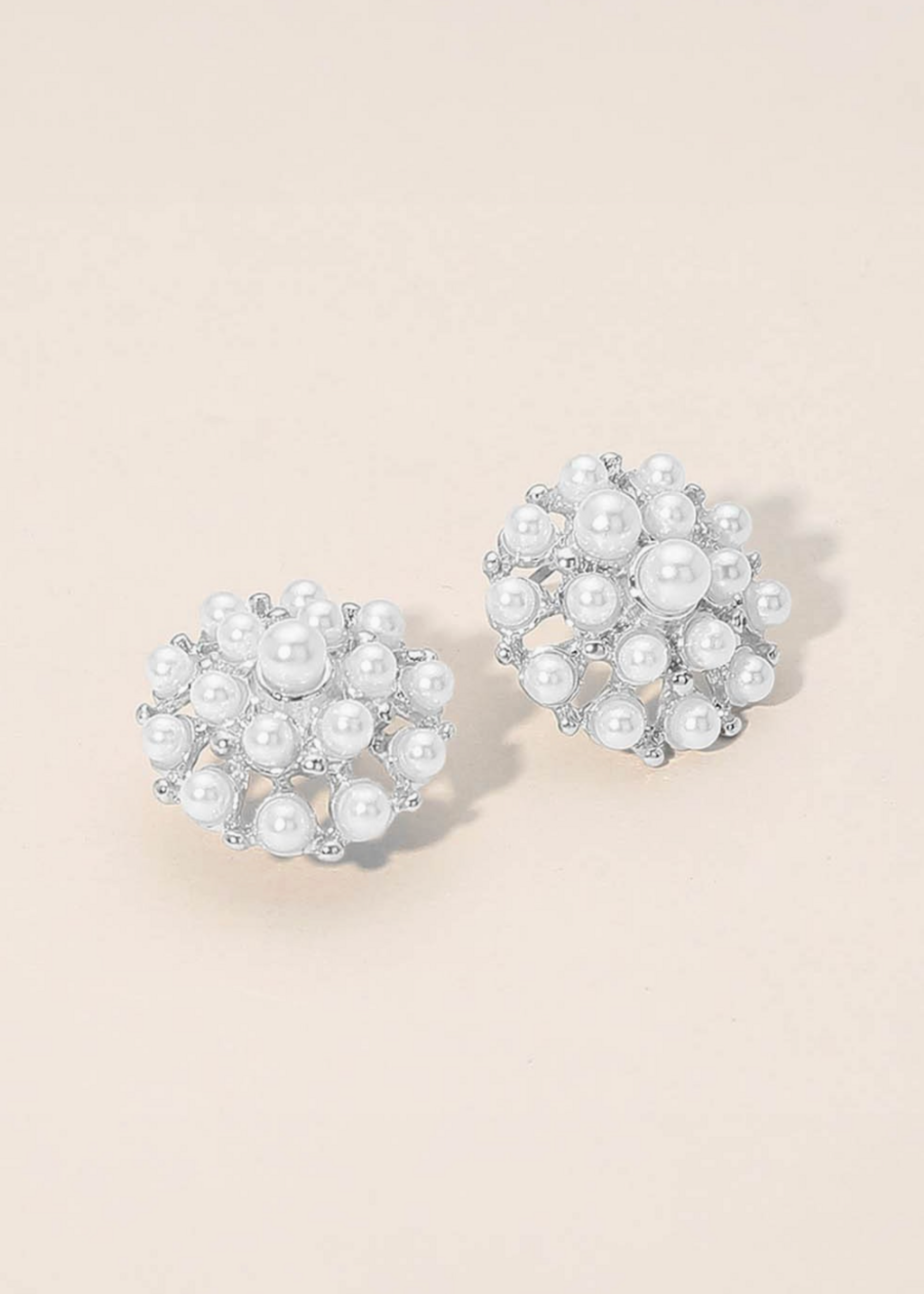 Keep Doing What You're Doing Earrings SILVER