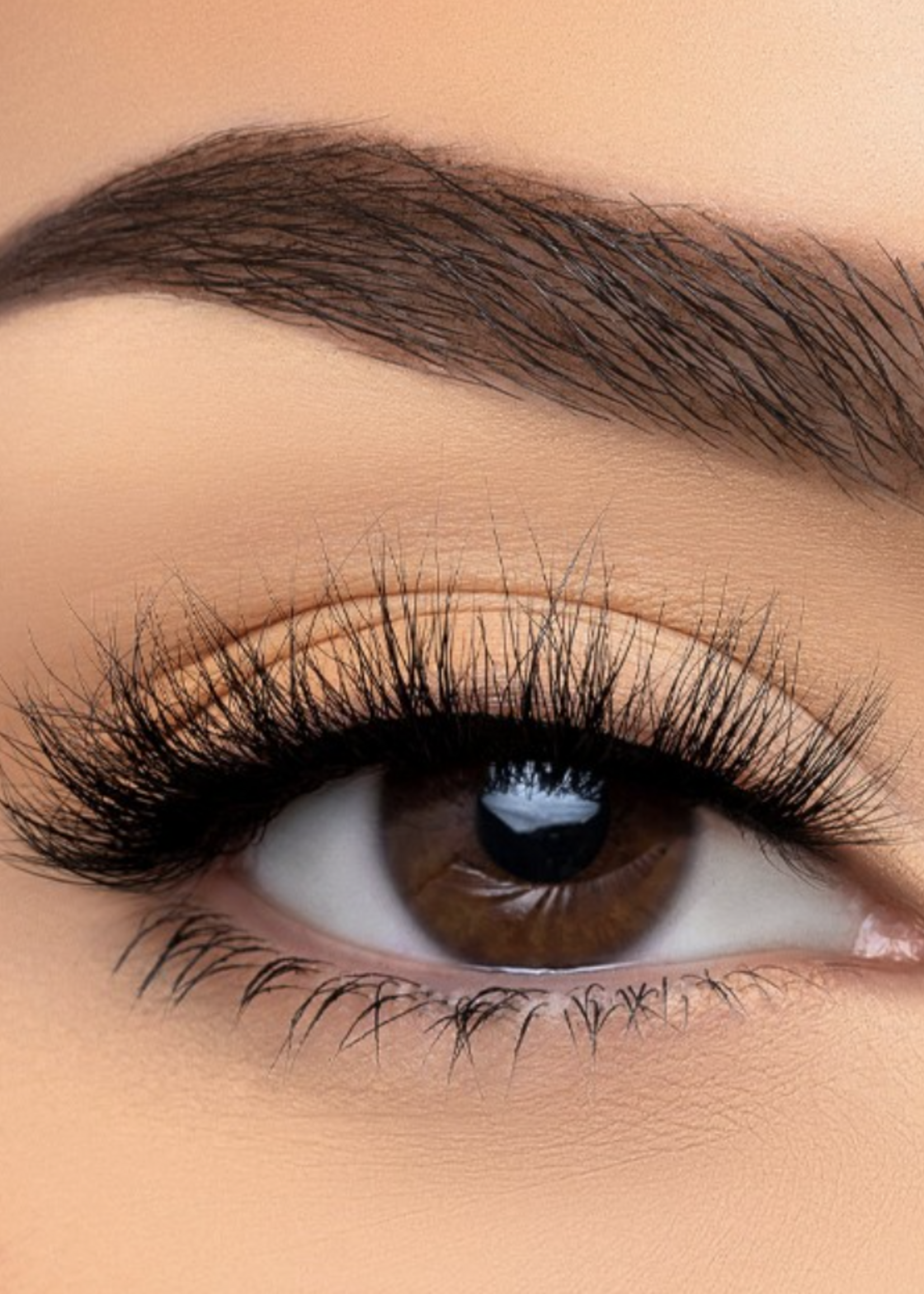 Private Talk Eyelashes