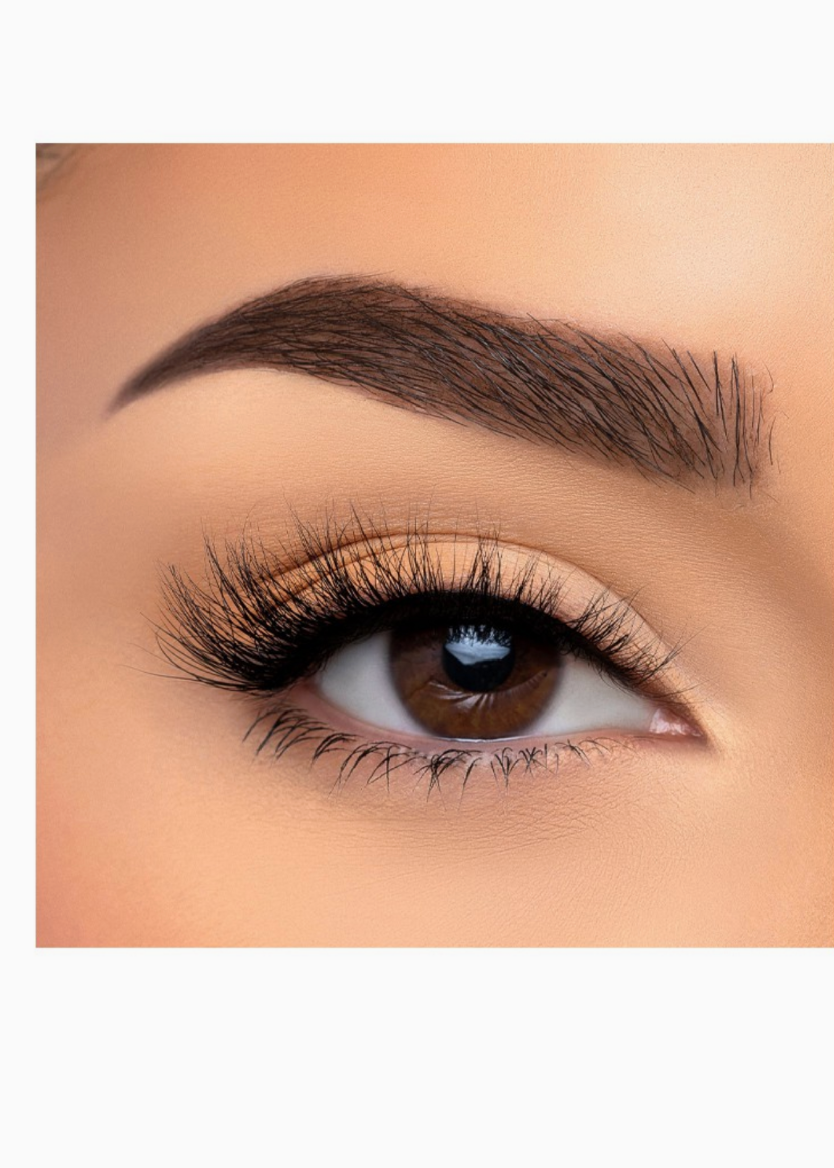 Alluring Eyelashes