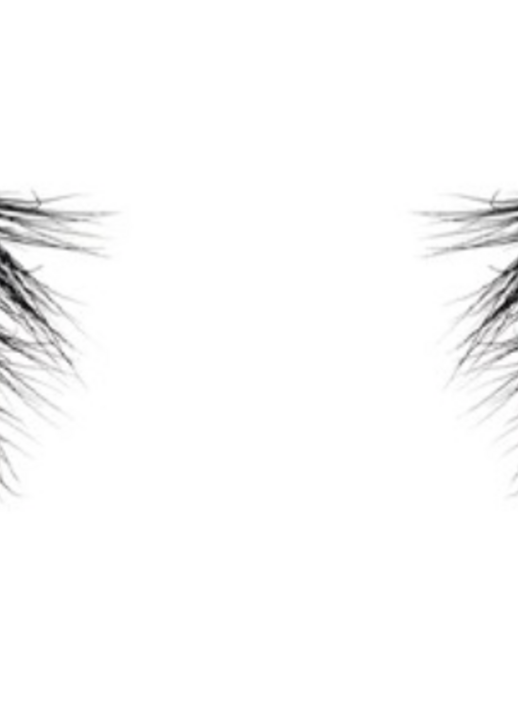 Left On Read Eyelashes