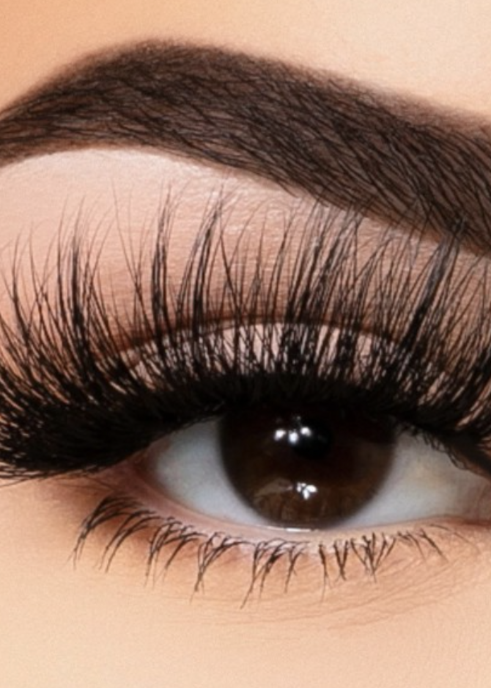 Limited Eyelashes