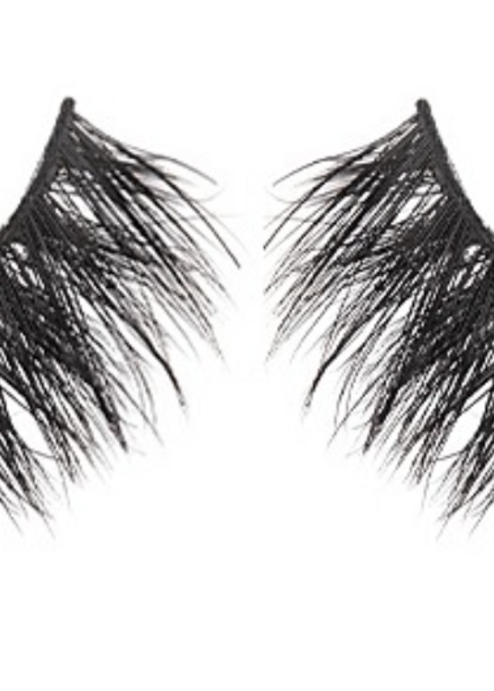 Exclusive Eyelashes