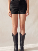 You Did Me Wrong Shorts