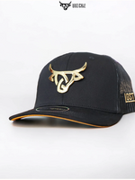 Iron Gold Curve