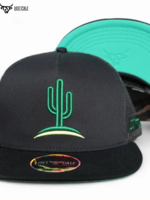 Cactus Flat
