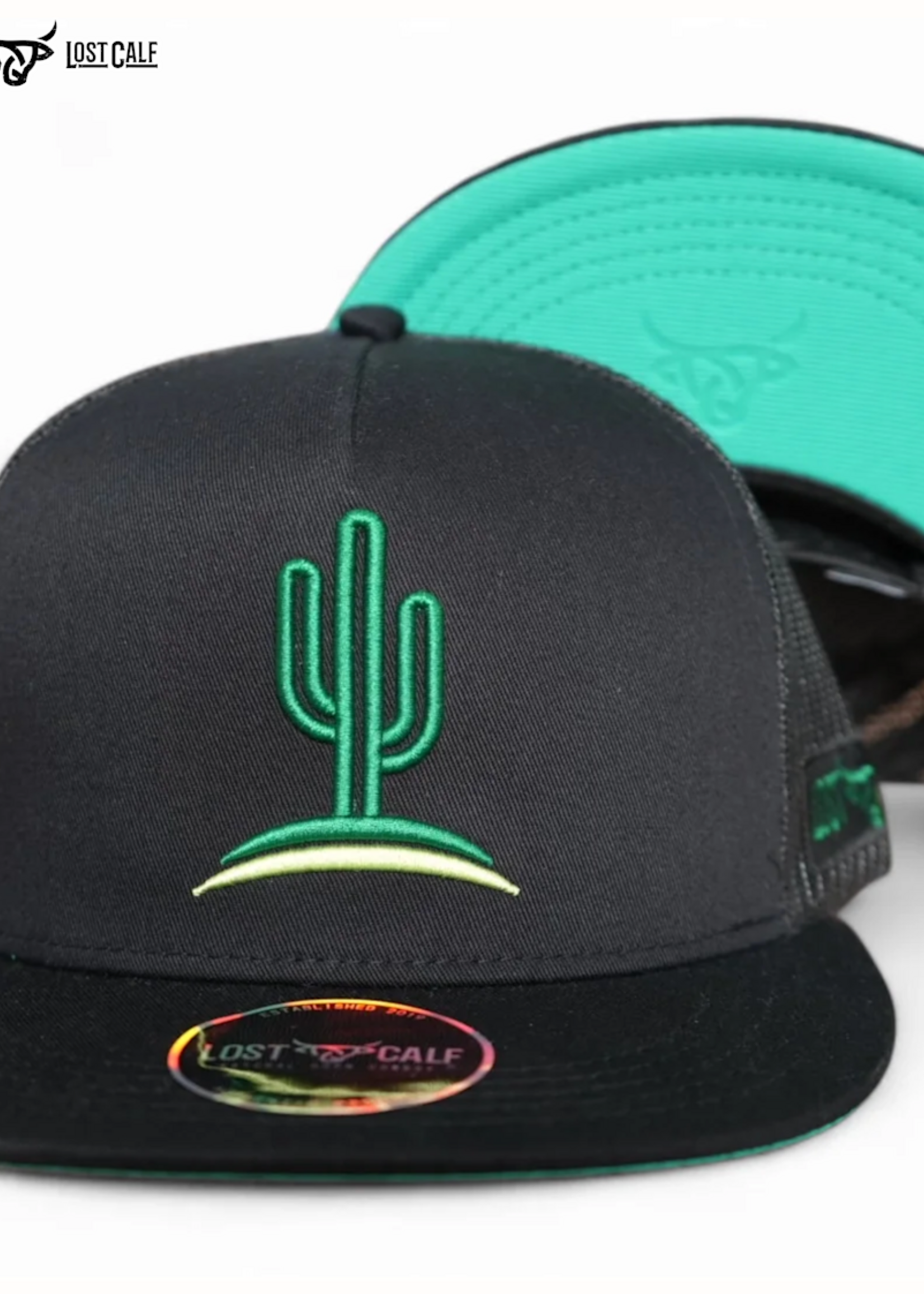 Cactus Flat