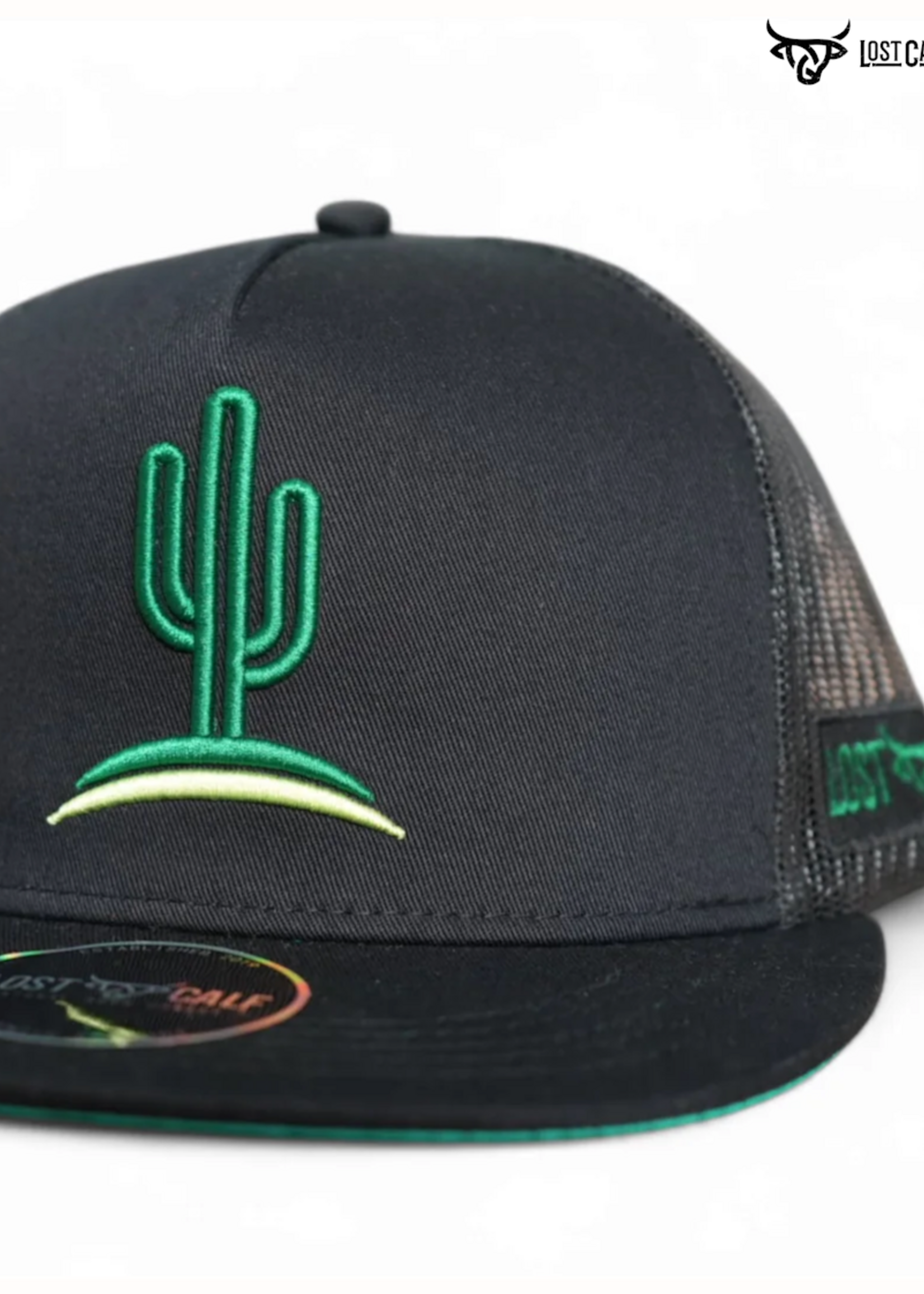 Cactus Flat