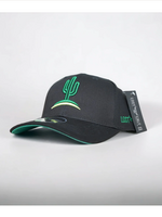 Cactus Curve