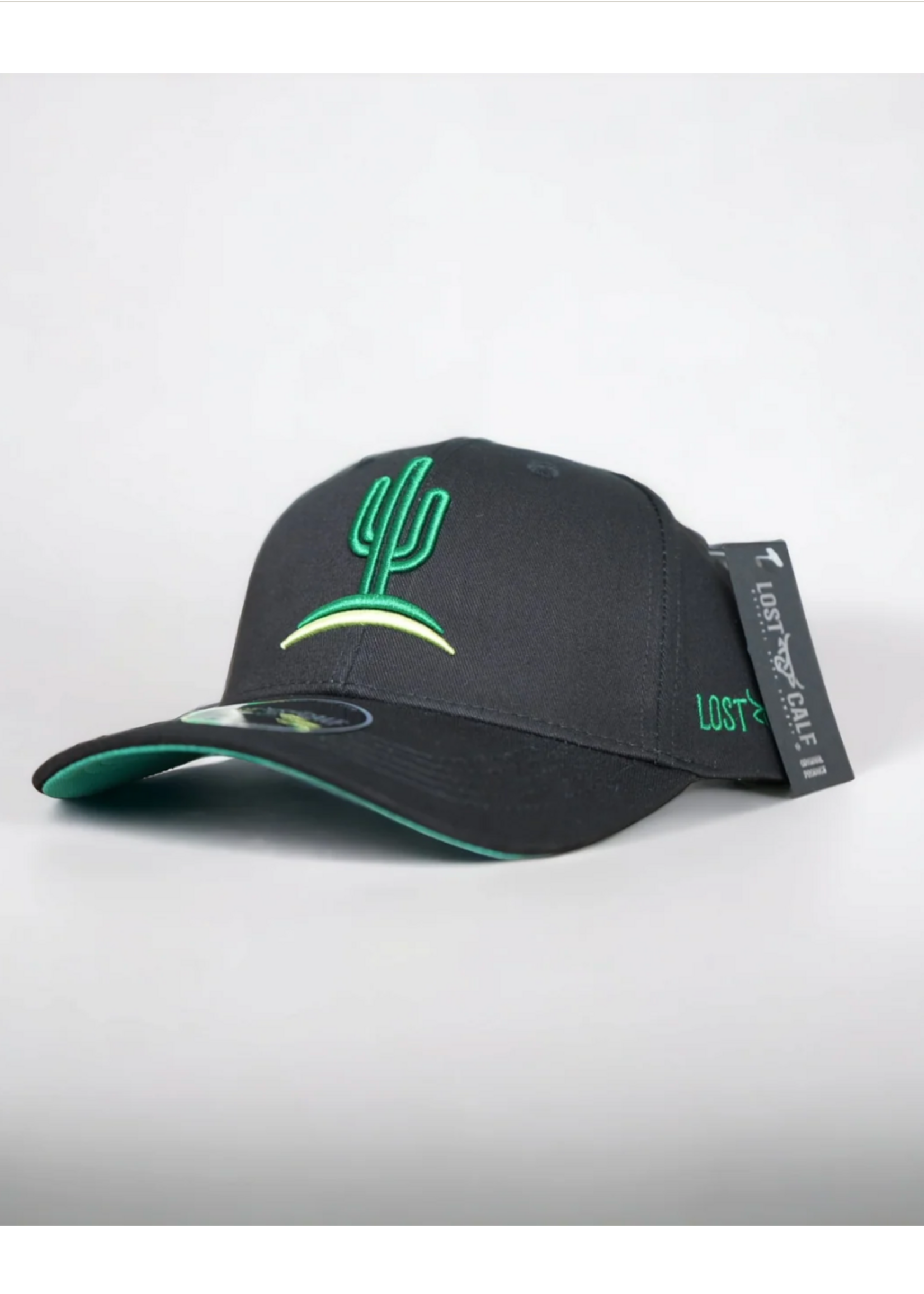 Cactus Curve