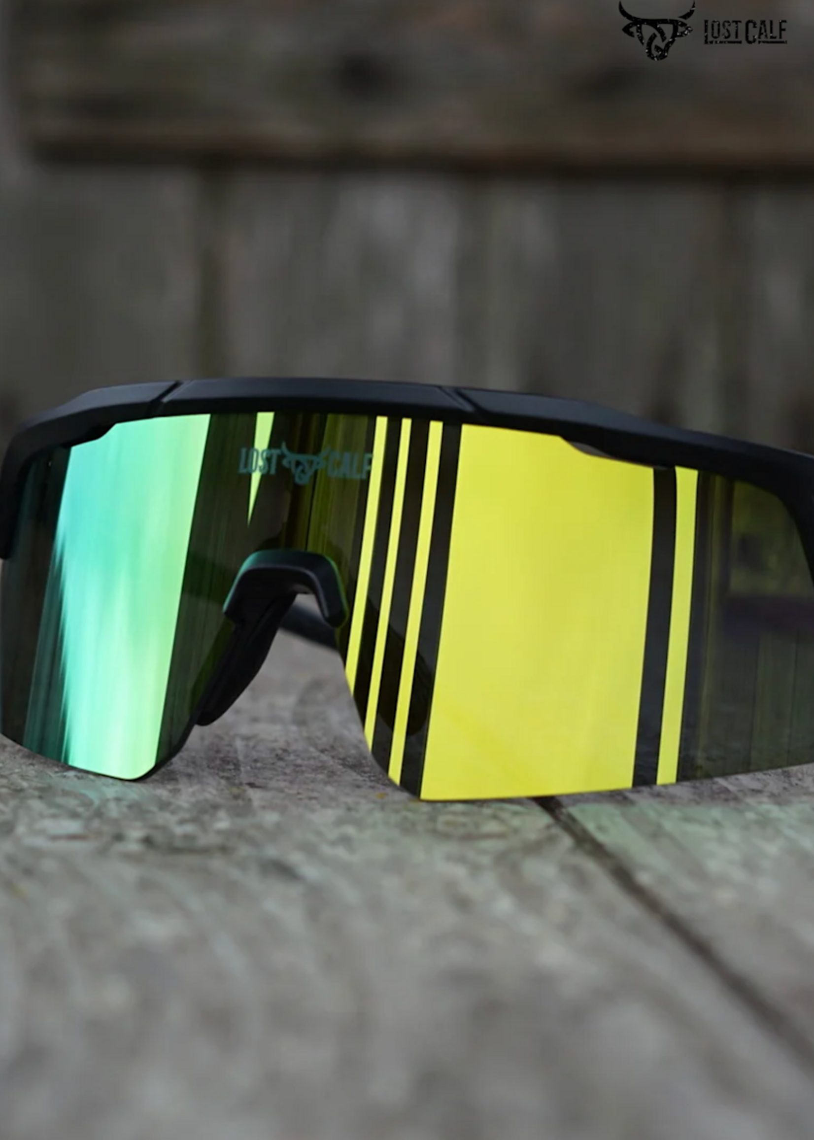 Fenix Sunglasses ( LOST CALF )