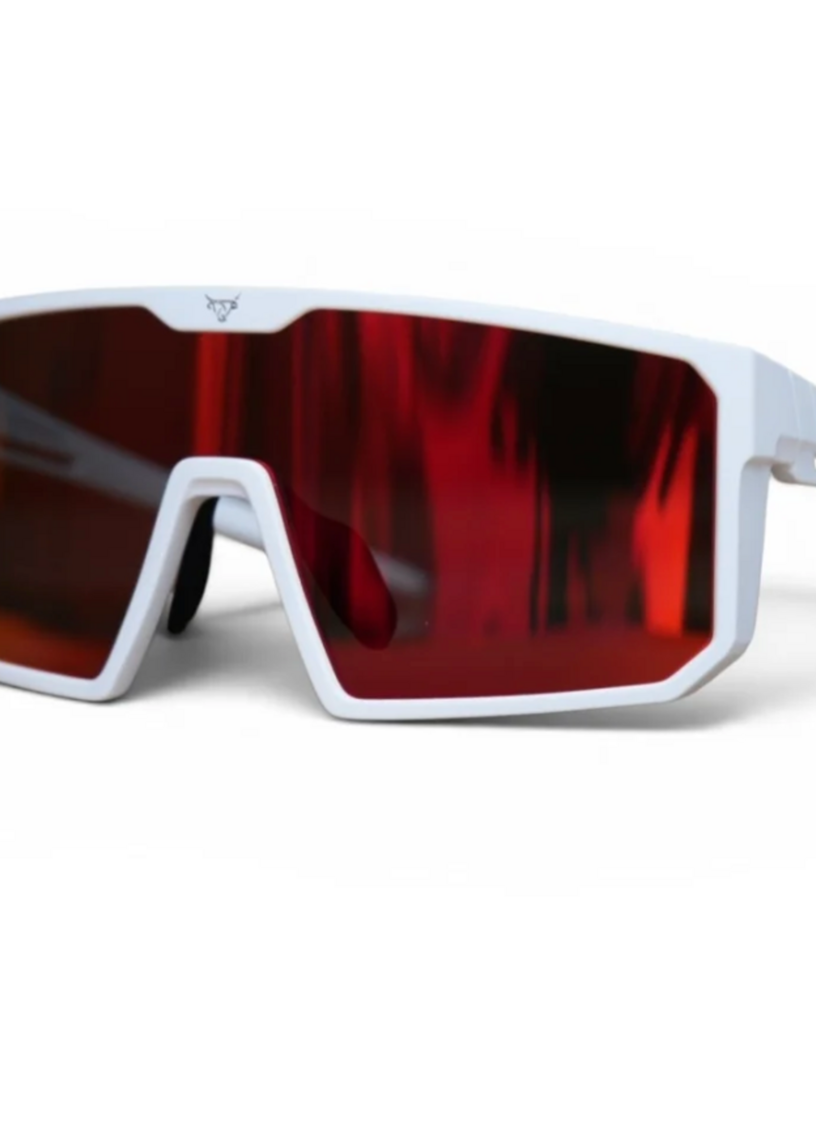 Comet Sunglasses ( LOST CALF )