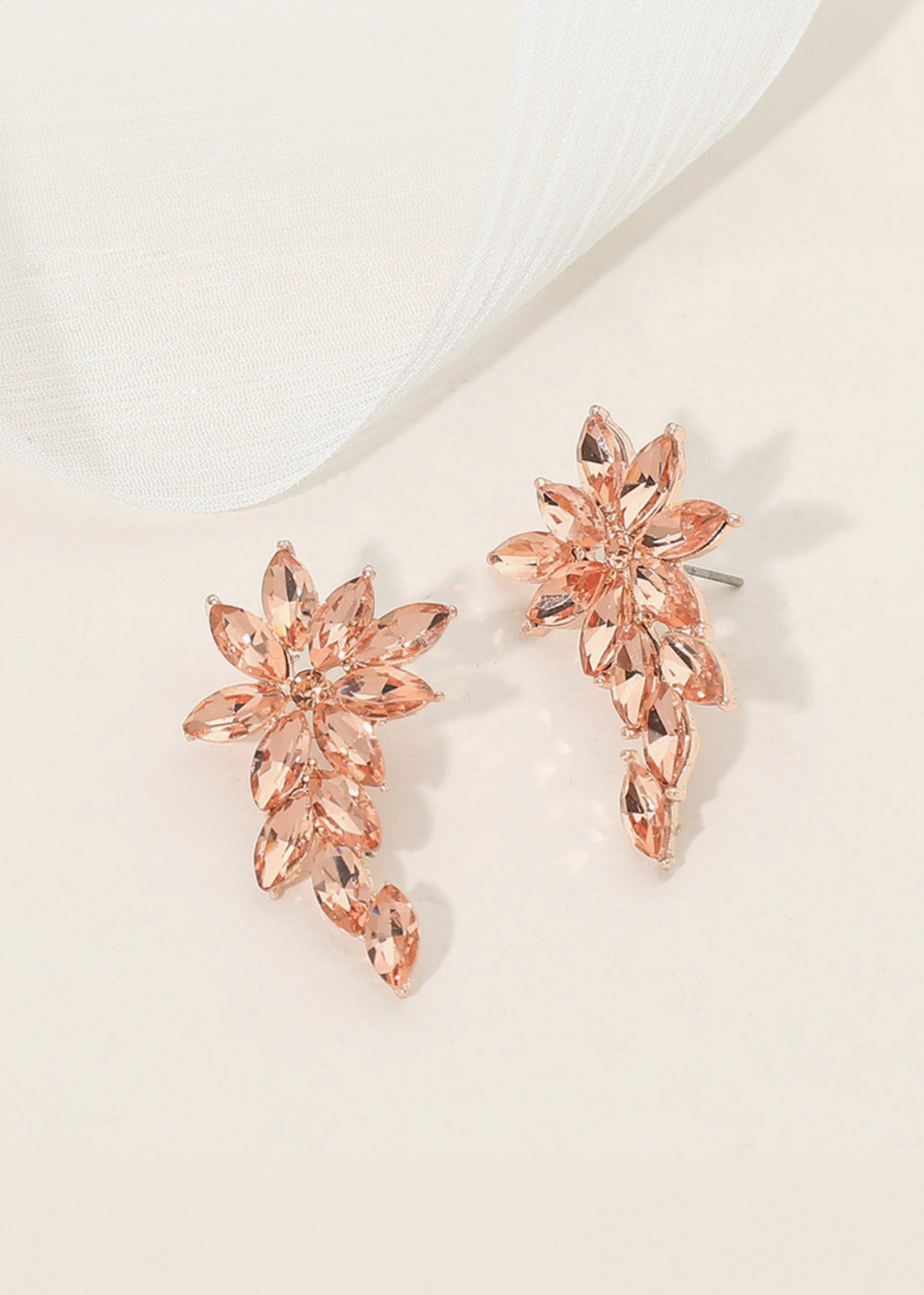 Back And Focus Earrings