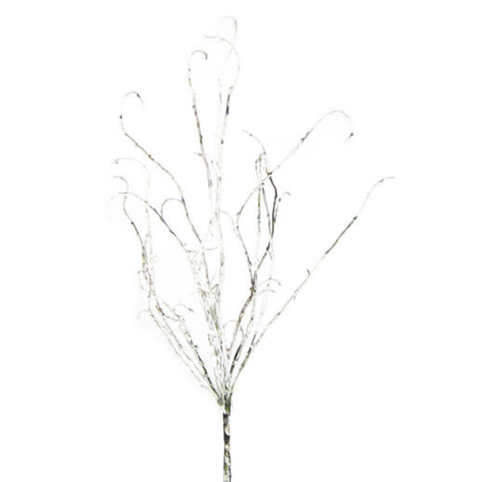m. lynne designs twig botanical