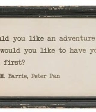 Adventure Now or Tea Framed Quote