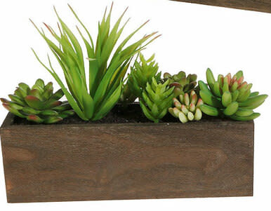 available at m. lynne designs Assorted Succulent Box