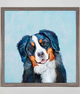 available at m. lynne designs Bernese Mountain Dog Framed Canvas