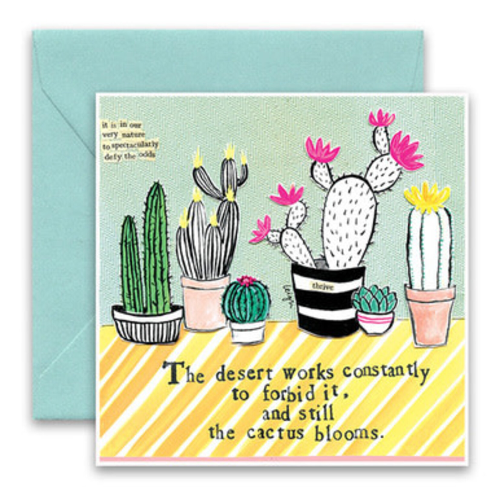 curly girl cactus card
