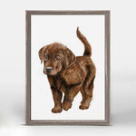 m. lynne designs chocolate labrador pup framed canvas
