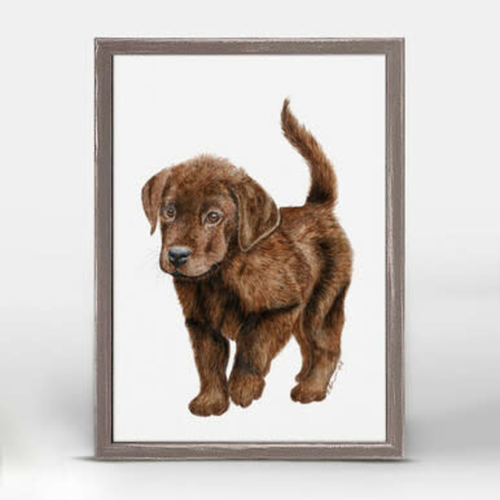 m. lynne designs chocolate labrador pup framed canvas
