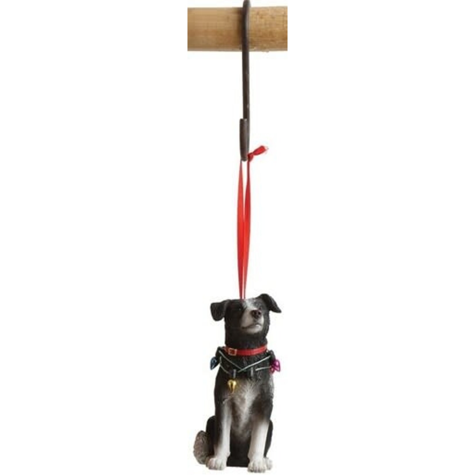 m. lynne designs dog with christmas lights ornament