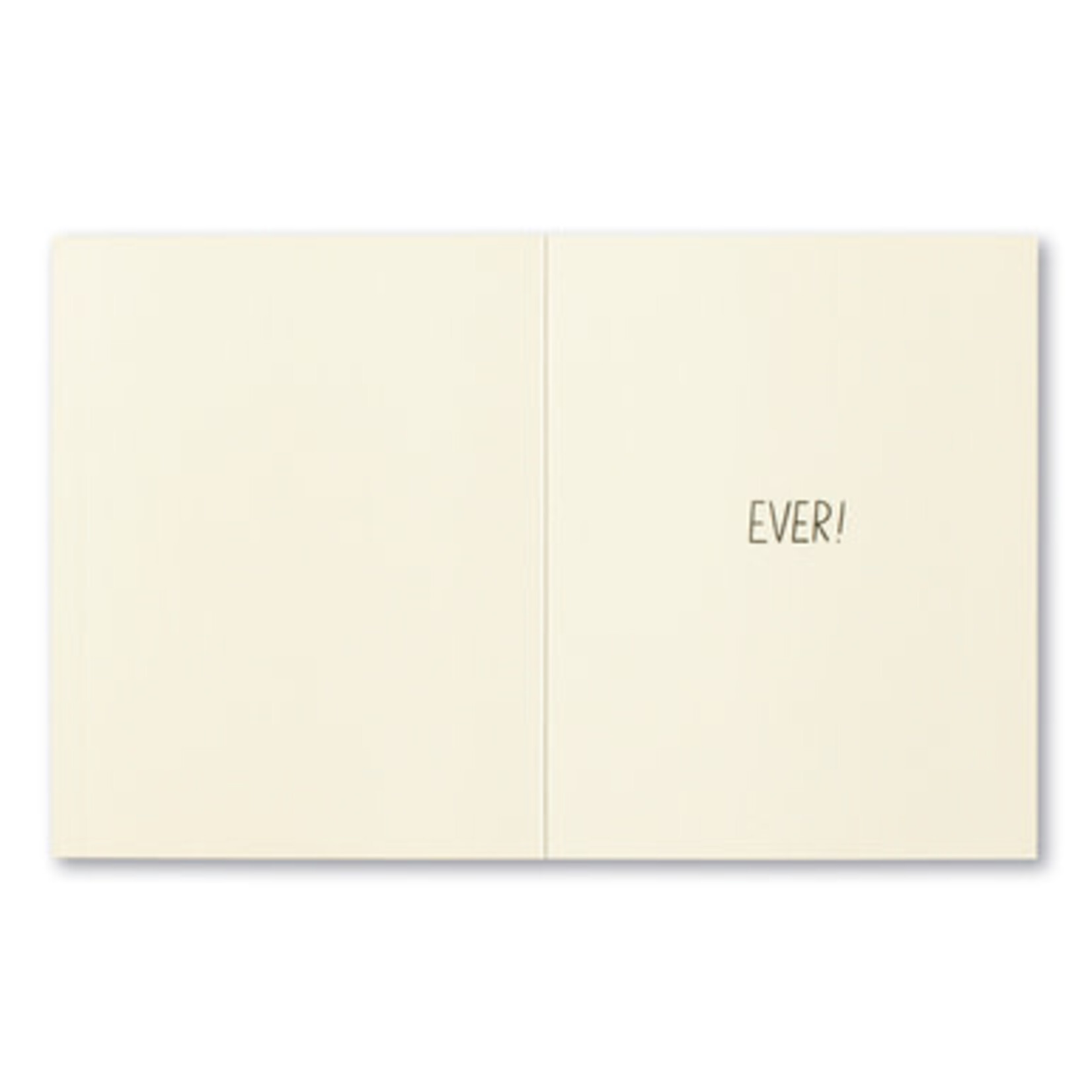m. lynne designs don't give up card