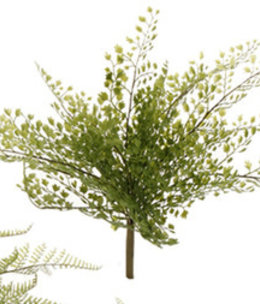 available at m. lynne designs Fern Bush, Style 1