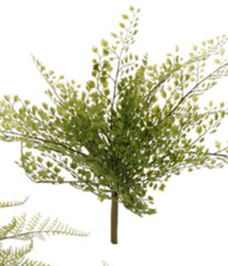 available at m. lynne designs Fern Bush, Style 1