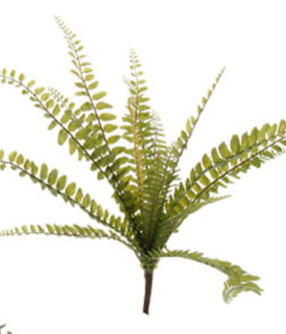 available at m. lynne designs Fern Bush, Style 3