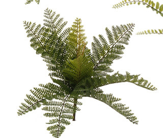 available at m. lynne designs Fern Bush, Style 4