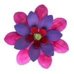 m. lynne designs fuschia, red, purple pretty posy magnetic flower
